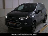 Gebraucht Ford Ecosport Titanium 125 PS (91 kW) 2017 Grau SUV