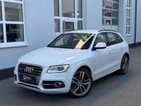 Gebraucht Audi SQ5 Competition 326 PS (239 kW) 2017 Weiß SUV