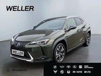 Gebraucht Lexus UX 250h 184 PS (135 kW) 2021 Gruen SUV