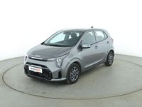Neu Kia Picanto Vision 63 PS (46 kW) 2025 Grau Kleinwagen