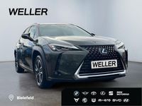 Gebraucht Lexus UX 184 PS (135 kW) 2022 Andere SUV
