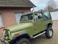 Gebraucht Jeep Wrangler 121 PS (88 kW) 1993 Grün SUV