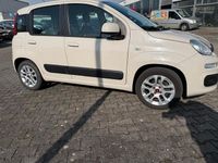 Gebraucht Fiat Panda Lounge 95 PS (69 kW) 2016 Beige Kleinwagen