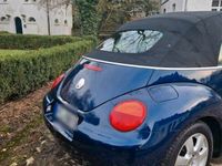 gebraucht VW Beetle 