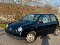 gebraucht VW Lupo 1,4 *TÜV *Zahnriemen *Scheckheft *Sehr Sauber