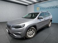 Gebraucht Jeep Cherokee 195 PS (143 kW) 2020 Silber SUV