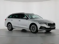 Usata Skoda Octavia Ambition 116 CV (85 kW) 2023 Argento Station wagon