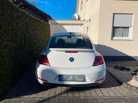 gebraucht VW Beetle 5C 2.5 l Volkswagen Weiß 170 PS