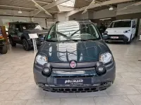 Gebraucht Fiat Panda Cross Cross 71 PS (52 kW) 2025 Grün Kleinwagen