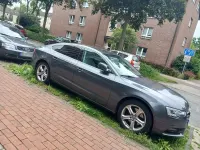 Gebraucht Audi A5 Sportback 204 PS (150 kW) 2014 Grau Kleinwagen