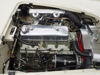 Gebraucht Austin Healey 100 1953 Weiß Cabrio