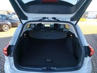 Neu Ford Focus Active 116 PS (85 kW) 2025 Weiß Limousine