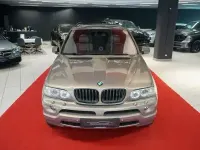 Brugt BMW X5 Performance 320 HK (235 kW) 2004 Brun SUV