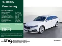 Gebraucht Skoda Octavia Style 116 PS (85 kW) 2023 Candyweiß Kombi