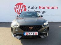 Gebraucht Cupra Formentor 245 PS (180 kW) 2024 Kliffgrau SUV