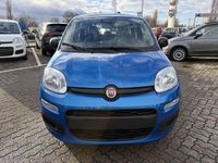 Neu Fiat Panda 69 PS (50 kW) 2025 Italia blau Kleinwagen