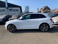 gebraucht Audi SQ5 3.0 TDI tiptronic quattro -