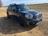 Gebraucht Mini Cooper Essential 136 PS (100 kW) 2020 Blau Kleinwagen