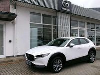 Gebraucht Mazda CX-30 Selection 122 PS (89 kW) 2023 Arctic white SUV