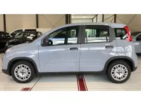 Gebraucht Fiat Panda 69 PS (50 kW) 2023 Grau Kleinwagen