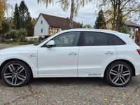 Gebraucht Audi SQ5 Competition 326 PS (239 kW) 2016 Weiß SUV