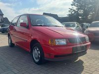 Gebraucht VW Polo Basis 60 PS (44 kW) 1997 Rot Kleinwagen