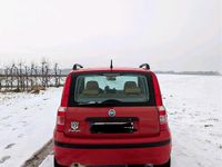 Gebraucht Fiat Panda Dynamic 60 PS (44 kW) 2006 Rot Kleinwagen