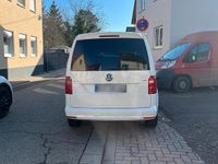 Gebraucht VW Caddy 110 PS (80 kW) 2016 Weiß Van / Kleinbus