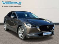 gebraucht Mazda CX-30 Selection 2WD-LEDER-NAVI-BOSE-360°KAMERA+