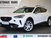 Gebraucht Cupra Formentor 150 PS (110 kW) 2023 Weiß SUV