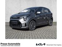 Neu Kia Picanto Vision 68 PS (50 kW) 2026 (m7g) astro grey m Kleinwagen