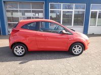 Gebraucht Ford Ka Trend 69 PS (50 kW) 2010 Rot Kleinwagen