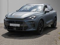 Gebraucht Cupra Terramar Limited Edition 272 PS (200 kW) 2024 Wählbar (bei metallic +) SUV