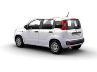 Neu Fiat Panda 69 PS (50 kW) 2025 Gelato Kleinwagen