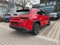 Gebraucht Lexus UX 250h 145 PS (106 kW) 2023 Glutrot SUV