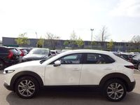 gebraucht Mazda CX-30 G122 Selection 2WD ACC BLIS HUD 18"Alu