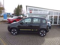 gebraucht Fiat Panda Cross City Sondermodell Young /Parksensoren hinten