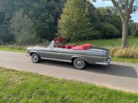 Gebraucht Mercedes 220 1963 Grau Cabrio