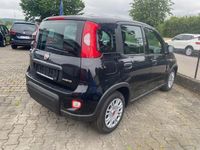 Gebraucht Fiat Panda 69 PS (50 kW) 2024 Schwarz Kleinwagen