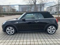 gebraucht Mini Cooper D Cabriolet Cooper D Cabrio AT Highgate ...