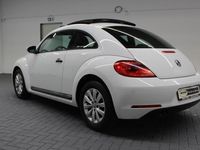 gebraucht VW Beetle Beetle1.2 TSI Bi-Xenon/Pano/Tempomat/SHZ/16-Zol