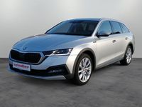 Gebraucht Skoda Octavia 190 PS (139 kW) 2022 Brilliantsilber metallic Kombi