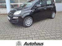 Gebraucht Fiat Panda 69 PS (50 kW) 2025 Schwarz Kleinwagen