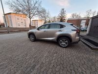 gebraucht Lexus NX300 300h Executive Line