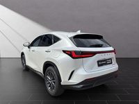 Neu Lexus NX350h Executive Line 243 PS (178 kW) 2025 Titaniumweiß SUV