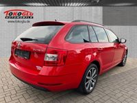 gebraucht Skoda Octavia 1.6 DPF Combi Drive 1,6 TDI NAVI GARANTIE AHK Sperrdiff. ACC Apple CarPlay Android Auto