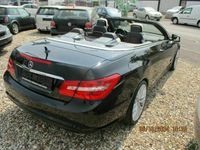 gebraucht Mercedes E500 E -Klasse Cabrio