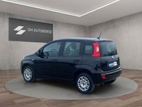 gebraucht Fiat Panda 1.0 GSE Hybrid /Klima/ 6 Gang/ Neu Tüv