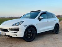 Gebraucht Porsche Cayenne 245 PS (180 kW) 2012 Weiß SUV