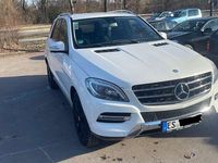 Gebraucht Mercedes ML250 204 PS (150 kW) 2013 Weiß SUV